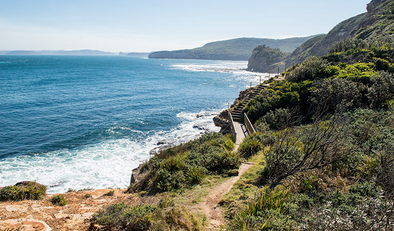 Mount Bouddi walking track, Bouddi National Park. Photo: John Spencer