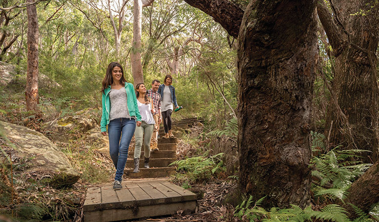 Group of friends walking on Bullimah Spur track. Photo credit: John Spencer. <HTML>&copy; DPIE