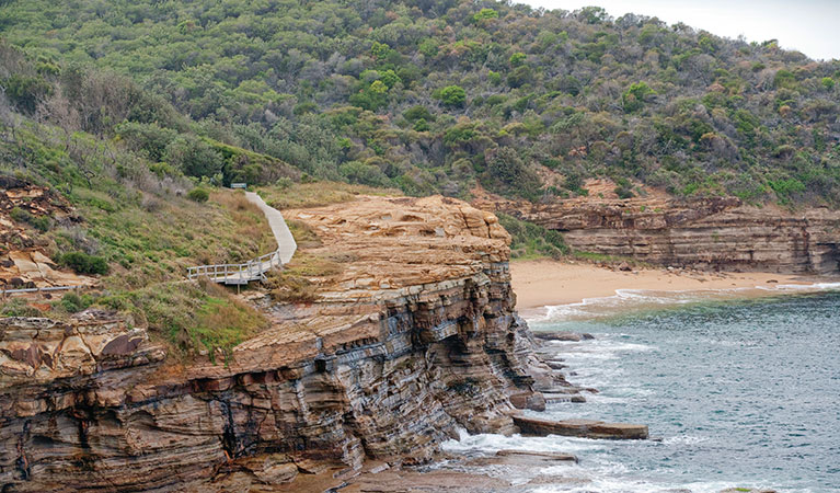 Coastal cliffs on the Bouddi Coastal walk in Bouddi National Park. Photo credit: Nick Cubbin. <HTML>&copy; OEH