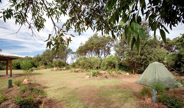 Campsite at Putty Beach campground in Bouddi National Park. Photo: Nick Cubbin/OEH