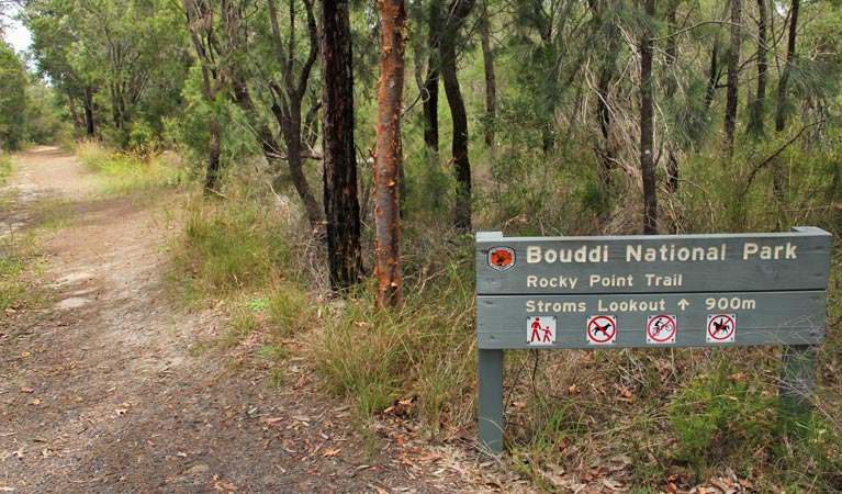 Rocky Point trail, Bouddi National Park. Photo: John Yurasek