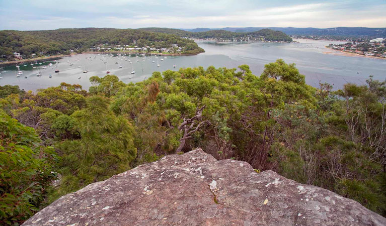 View along Strom loop, Bouddi National Park. Photo: Nick Cubbin