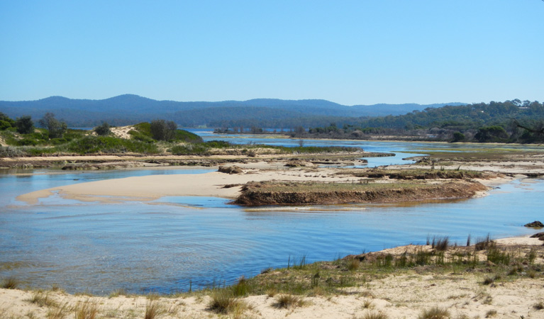 Hobart Beach campground, Bournda National Park. Photo: BECC