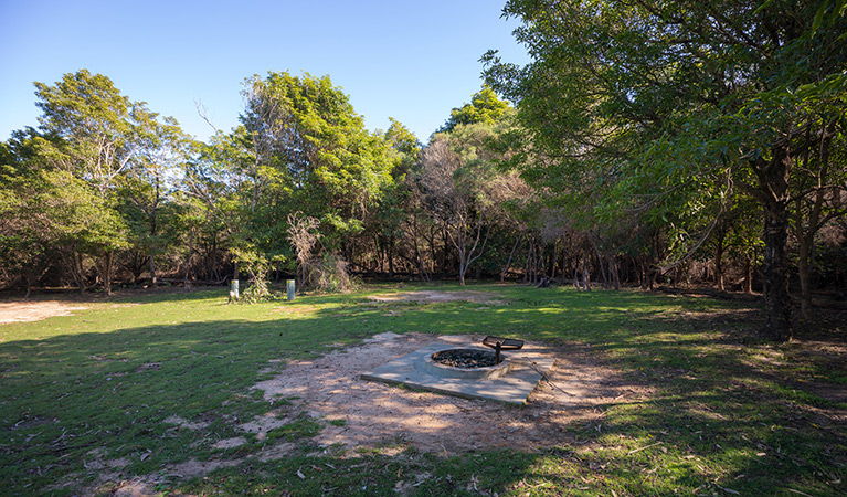 A fire ring at Hobart Beach campground, Bournda National Park. Photo: Daniel Tran/DPIE