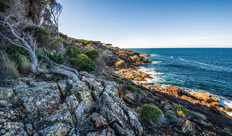 Ocean views along Kangarutha walking track. Photo: John Spencer &copy; OEH