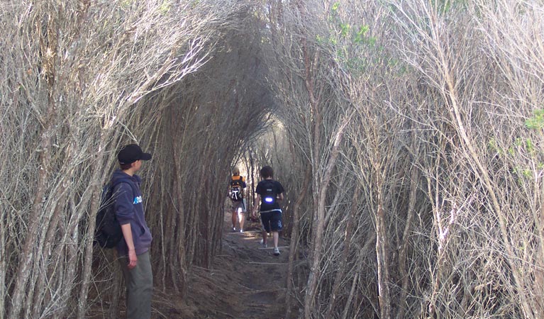 Kangarutha walking track, Bournda National Park. Photo: BECC