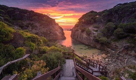 Summer solstice sunrise at Wallagoot Gap, Bournda National Park near Tathra. Photo: David Rogers, DCCEEW, &copy; David Rogers.
