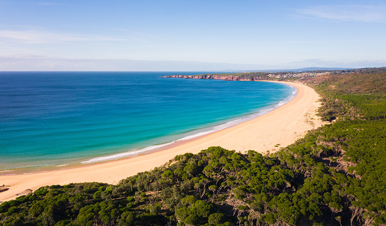 Aerial view of a beach in Bournda National Park. Photo: Daniel Tran &copy; Daniel Tran