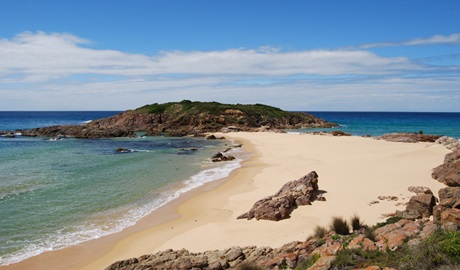 Bournda Island, Sandy Creek loop track, Bournda National Park. Photo: BECC/NSW Government