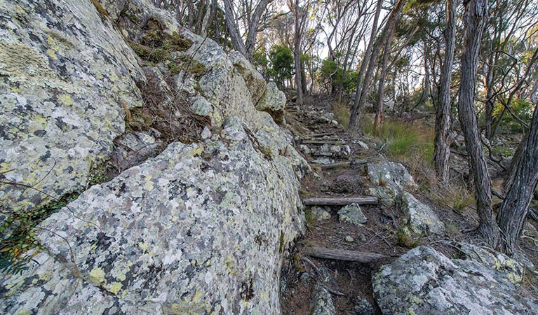 Sandy Creek loop track. Photo: John Spencer &copy; OEH