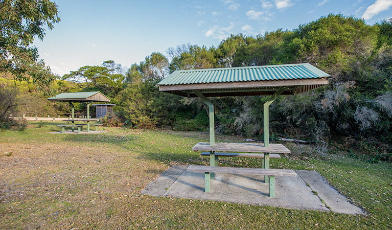 Picnic shelters at Turingal Head picnic area in Bournda National Park. Photo: John Spencer/DPIE