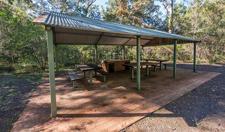 Brimbin picnic area, Brimbin Nature Reserve. Photo: John Spencer