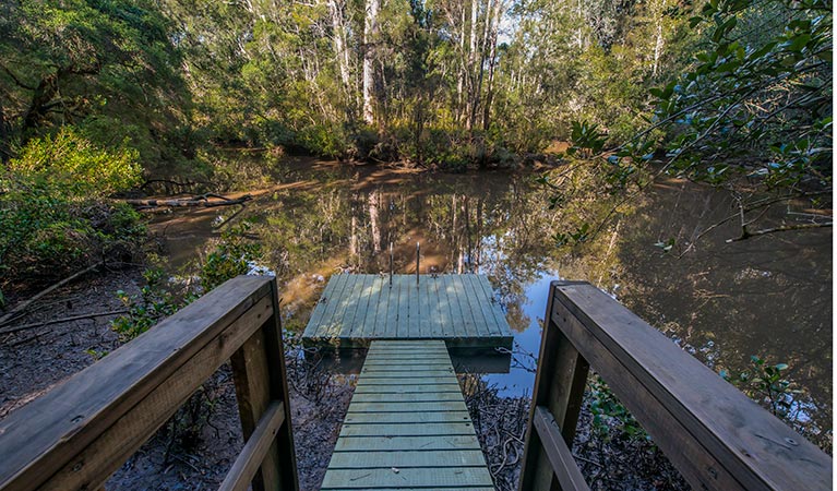 Brimbin picnic area, Brimbin Nature Reserve. Photo: John Spencer