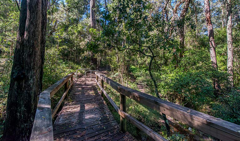 Dawson River walking track, Brimbin Nature Reserve. Photo: John Spencer &copy; OEH