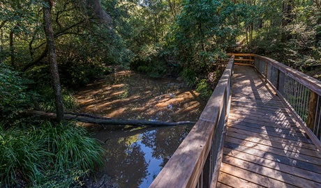 Ms Kellys walking track, Brimbin Nature Reserve. Photo: John Spencer &copy; OEH