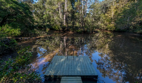 Brimbin Nature Reserve. Photo: John Spencer/OEH