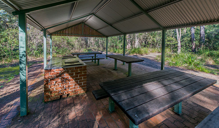 Brimbin Nature Reserve. Photo: John Spencer/OEH