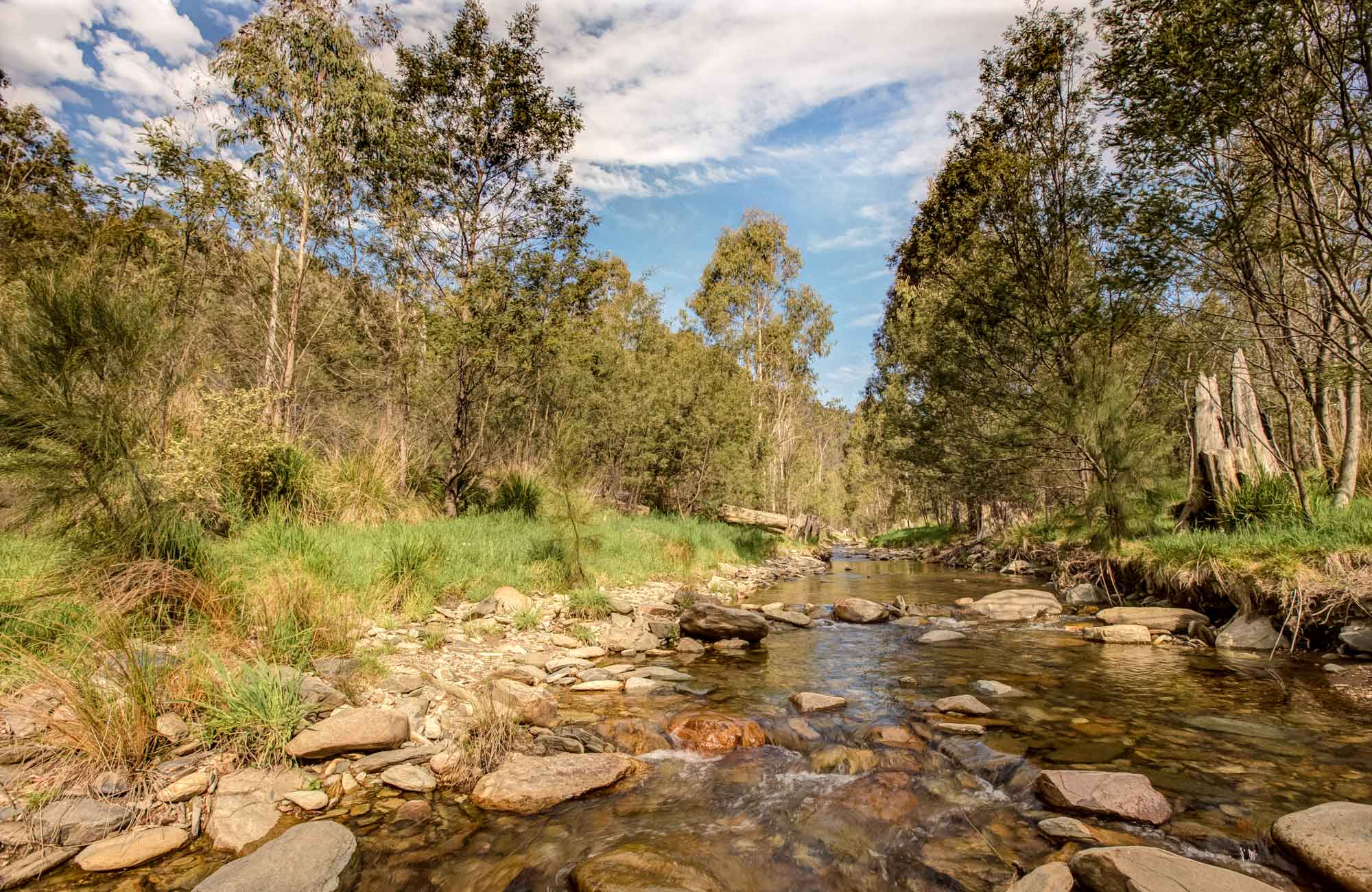 Flea Creek campground, Brindabella National Park. Photo: Murray van der Veer/NSW Government