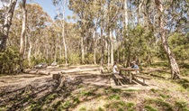 Corree campground, Brindabella National Park. Photo: Murray van der Veer/NSW Government