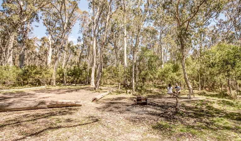 Corree campground, Brindabella National Park. Photo: Murray van der Veer/NSW Government