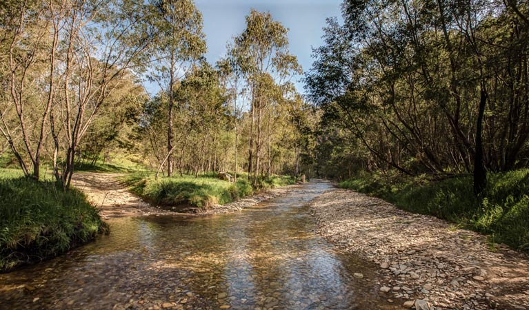 Flea Creek campground, Brindabella National Park. Photo: Murray van der Veer/NSW Government