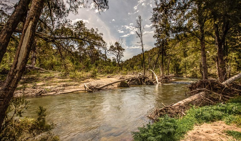 Lowells Flat campground, Brindabella National Park. Photo: Murray van der Veer/NSW Government