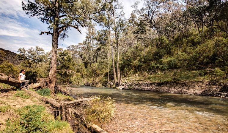 McIntyres campground, Brindabella National Park. Photo: Murray van der Veer/NSW Government