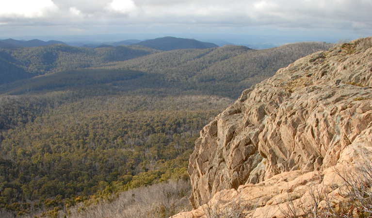 Brindabella National Park. Photo: NSW Government