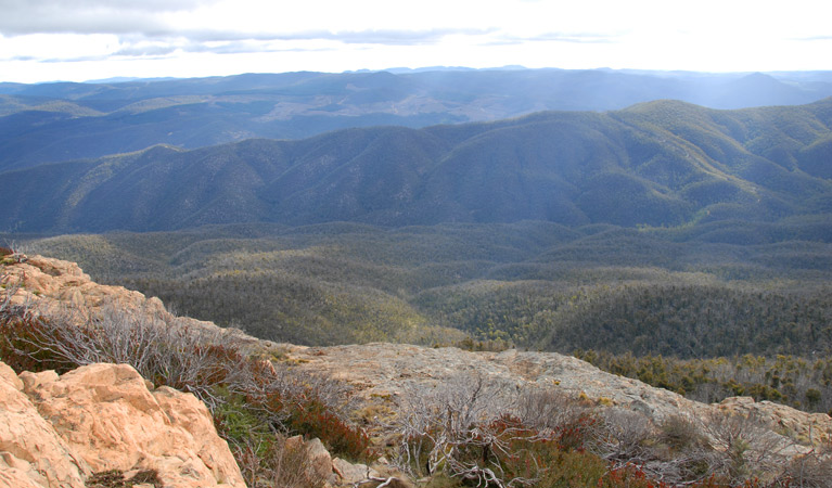 Brindabella National Park. Photo: NSW Government