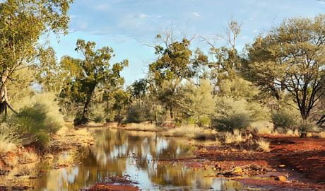 The creek near Brindingabba campground in Brindingabba National Park, 175km from Bourke, is a great place to see birds. Photo: James Lawson, &copy; DCCEEW