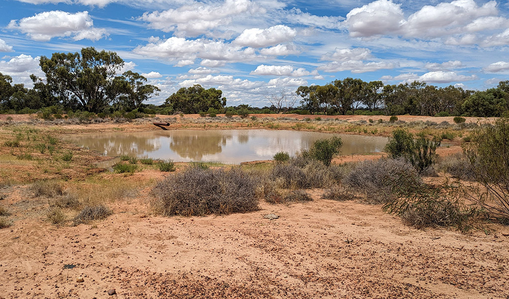 Butlers Tank, Brindingabba scenic drive. Credit: Jessica Stokes &copy; DCCEEW