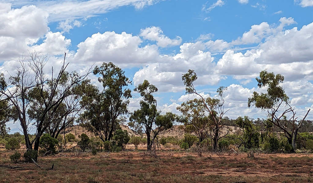 A rocky outcrop along Brindingabba scenic drive. Credit: Jessica Stokes &copy; DCCEEW
