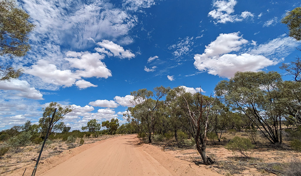 The track, Brindingabba scenic drive. Credit: Jessica Stokes &copy; DCCEEW