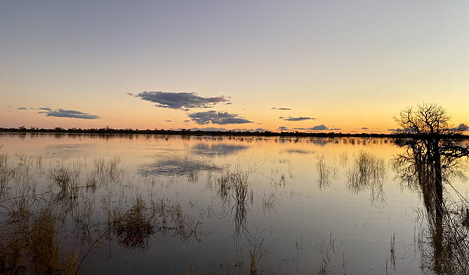 Nationally important Yantabulla wetlands in Brindingabba National Park, 175km from Bourke, are a refuge for thousands of waterbirds and shorebirds. Photo: Robert Smith, &copy; DCCEEW