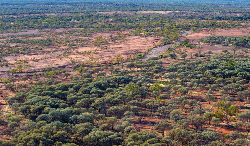 Aerial view of woodlands and red soil, Brindingabba National Park, 175km from Bourke. Photo: Joshua Smith &copy; DCCEEW 