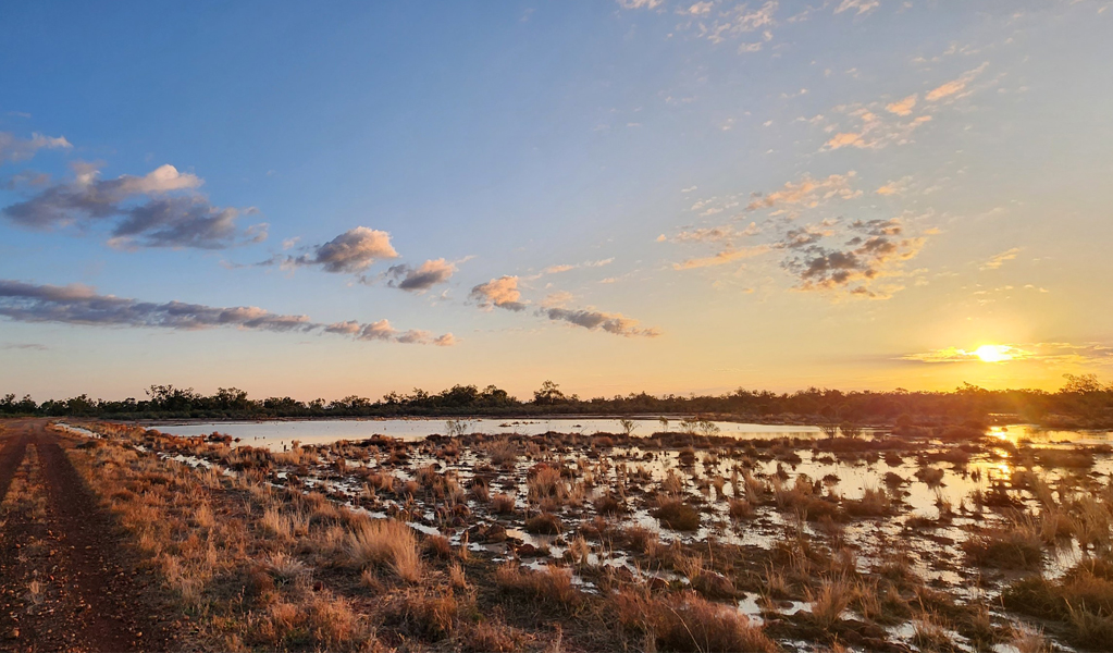 Wetlands of Brindingabba National Park, 175km from Bourke, at sunset. Photo: James Lawson, &copy; DCCEEW