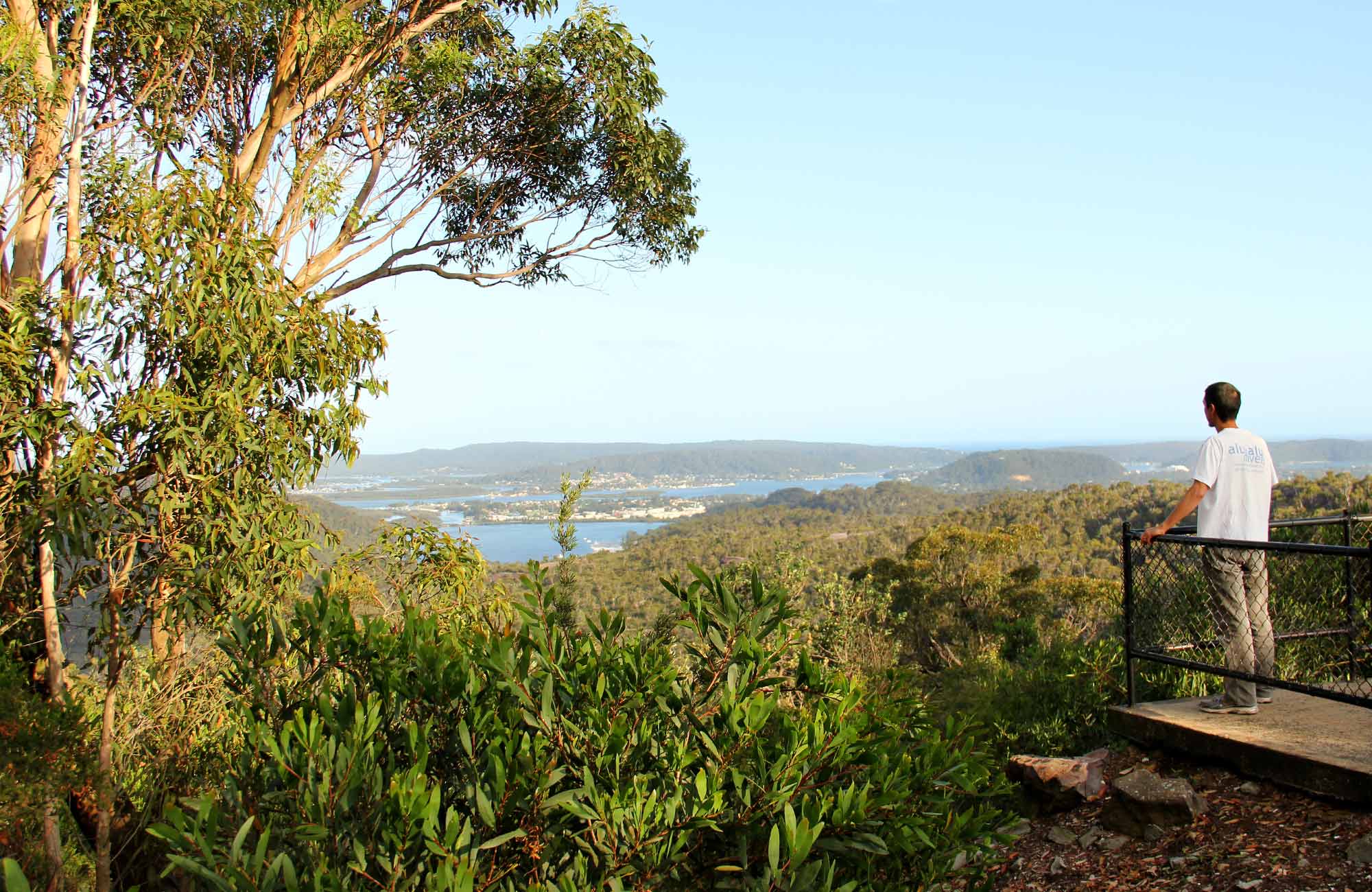 Directions To Staples Near Me Staples Lookout | Nsw National Parks