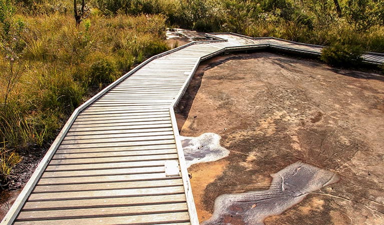 Bulgandry Art Site Aboriginal Place, Brisbane Water National Park. Photo: John Yurasek &copy; OEH