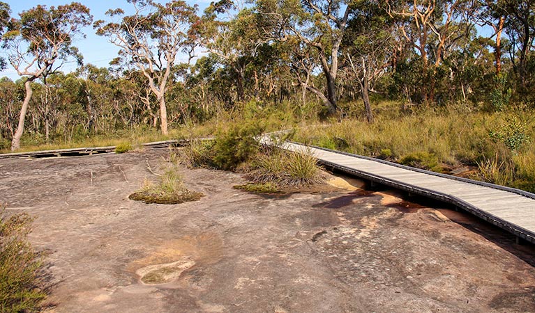 Bulgandry Art Site Aboriginal Place, Brisbane Water National Park. Photo: John Yurasek &copy; OEH