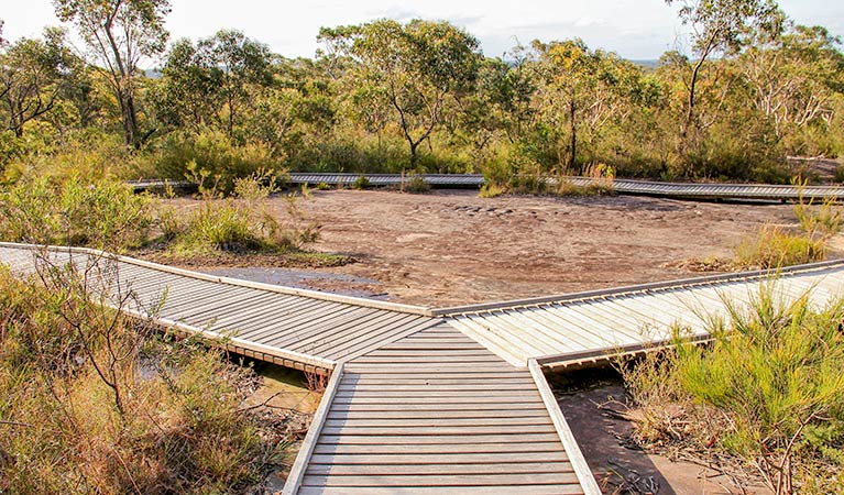 Bulgandry Art Site Aboriginal Place, Brisbane Water National Park. Photo: John Yurasek &copy; OEH