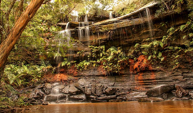 Girrakool loop track, Brisbane Water National Park. Photo: John Yurasek &copy; OEH