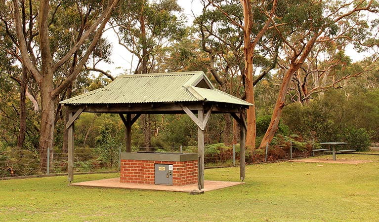 Girrakool picnic area, Brisbane Water National Park. Photo: John Yurasek &copy; OEH