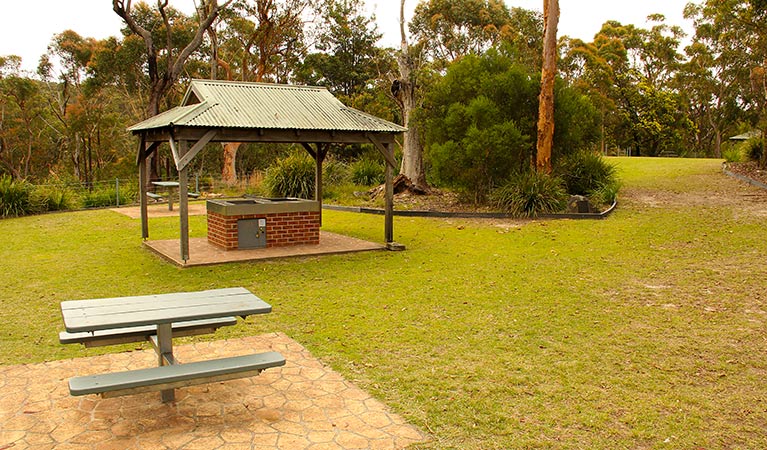 Girrakool picnic area, Brisbane Water National Park. Photo: John Yurasek &copy; OEH