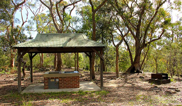 Girrakool picnic area, Brisbane Water National Park. Photo: John Yurasek &copy; OEH