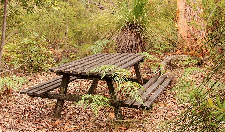 Girrakool picnic area, Brisbane Water National Park. Photo: John Yurasek &copy; OEH