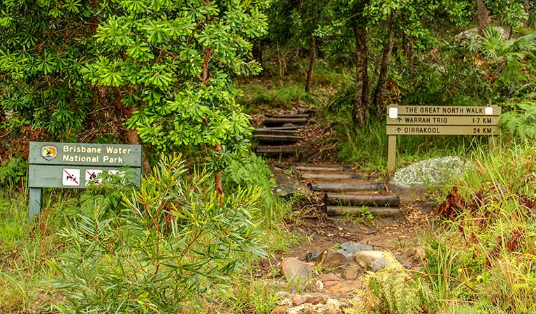 Great North walk, Brisbane Water National Park. Photo: John Yurasek &copy; OEH