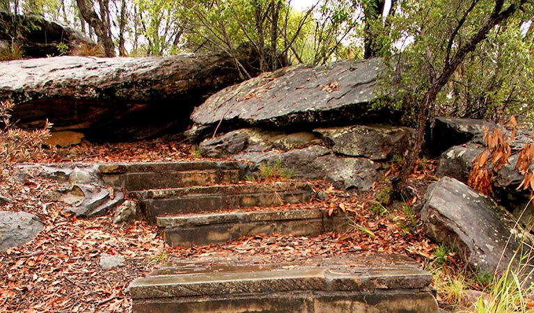 Great North walk, Brisbane Water National Park. Photo: John Yurasek &copy; OEH