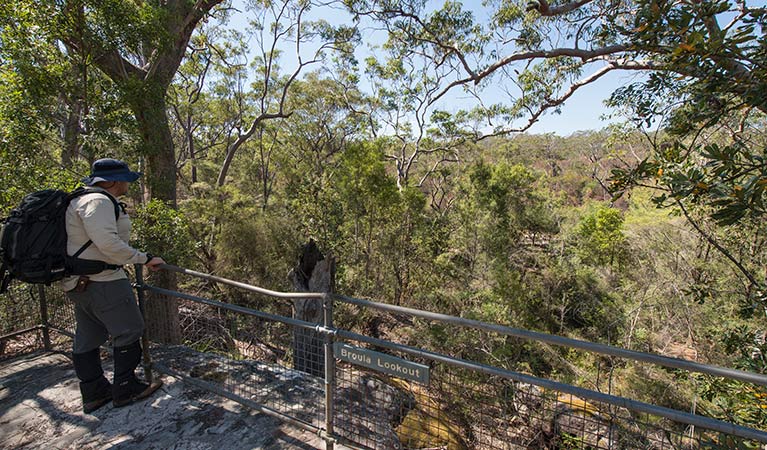 Mooney Mooney nature walk, Brisbane Water National Park. Photo: John Spencer &copy; OEH