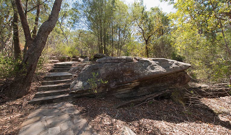 Mooney Mooney nature walk, Brisbane Water National Park. Photo: John Spencer &copy; OEH