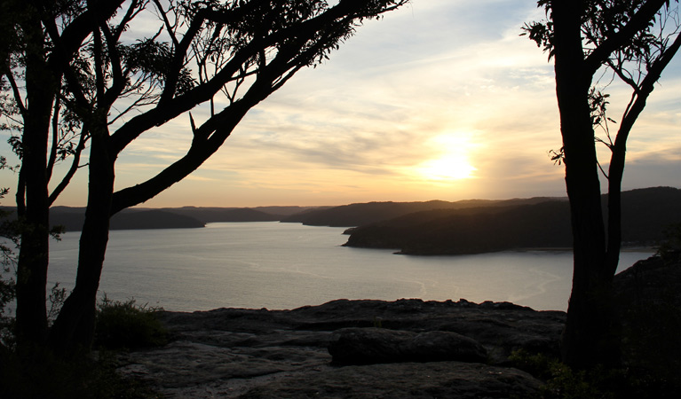 Patonga to Pearl Beach walk, Brisbane Water National Park. Photo: John Yurasek &copy; OEH